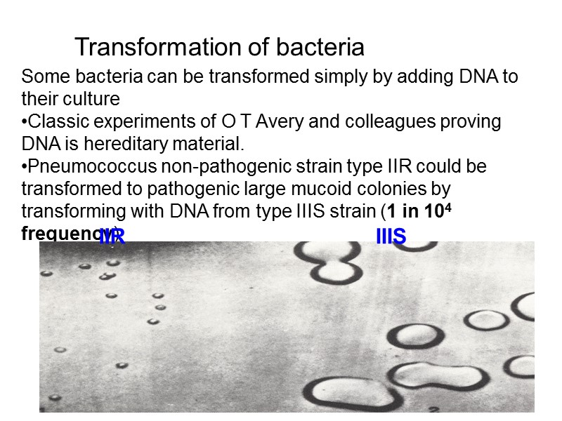 Transformation of bacteria Some bacteria can be transformed simply by adding DNA to their
